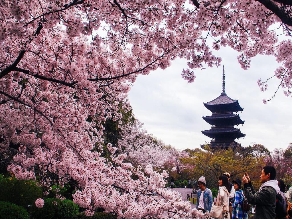 Coto京都 東寺2 エクステリア 写真